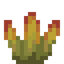 Ornate Succulent
