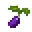 Eggplant Seed