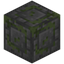 Tiny Brick Bordered Mossy Stone Bricks