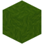 Bundled Lime Wool