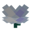 Starflower