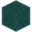 Wet Sponge