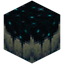Sculk Catalyst