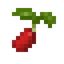 Cranberry Seed