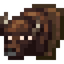 Bison Trophy