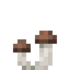 Crimini