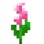 Glimmering Pink Flower