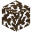 Dead Jungle Leaves