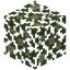 White Flower Birch Leaves