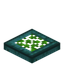Overgrown Warped Trapdoor