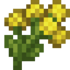 Silphium