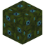 Blue Moss Block