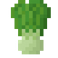 Bok Choy
