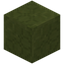 Circular Lime Terracotta
