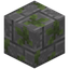 Etched Mossy Stone Bricks Bricks