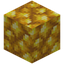 Block of Raw Gold