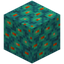 Eyed Warped Wart Block
