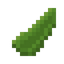Agave