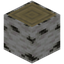 Birch Log