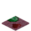 Pink Trader Carpet