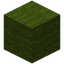 Green Wool