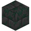 Infested Mossy Stone Bricks