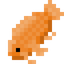 Raw Koi