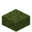 Moss Slab