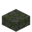 Mossy Stone Slab