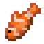 Tropical Fish
