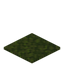 Moss Carpet