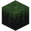 Mossy Black Sand