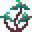 Warped Fungus Trio
