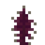 Photofern