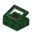 Green Green Enchanted Display Case