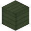 Green Cactus Extra
