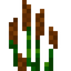 Cattails