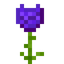 Iolite Glowrose