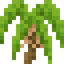 Palm Shrub