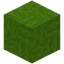 Bundled Lime Wool