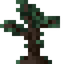 Darkwood Sapling