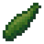 Zucchini