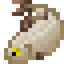 Tambaqui