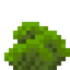 Toxic Coral Fan