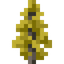Golden Larch Sapling