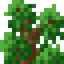 Oak Shrub