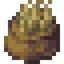 Dried Wheat