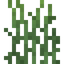 High Grass