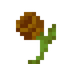Mystical Brown Flower