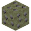 End White Diamond Ore